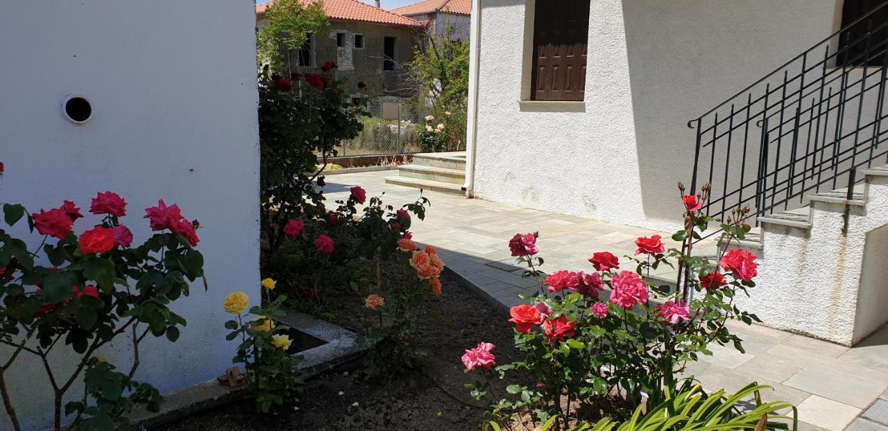צ'ורטו Zmas Studios מראה חיצוני תמונה